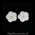 20091280, Perlemorsblomst, hvid, 20 mm