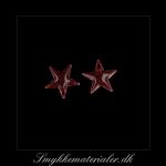 20092658, Emalje vedhæng, stjerne, bordeaux rød m/sølvkant, 12x1