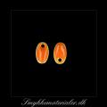 20092985, Emalje vedhng, oval, orange m/slvkant, 10x6 mm